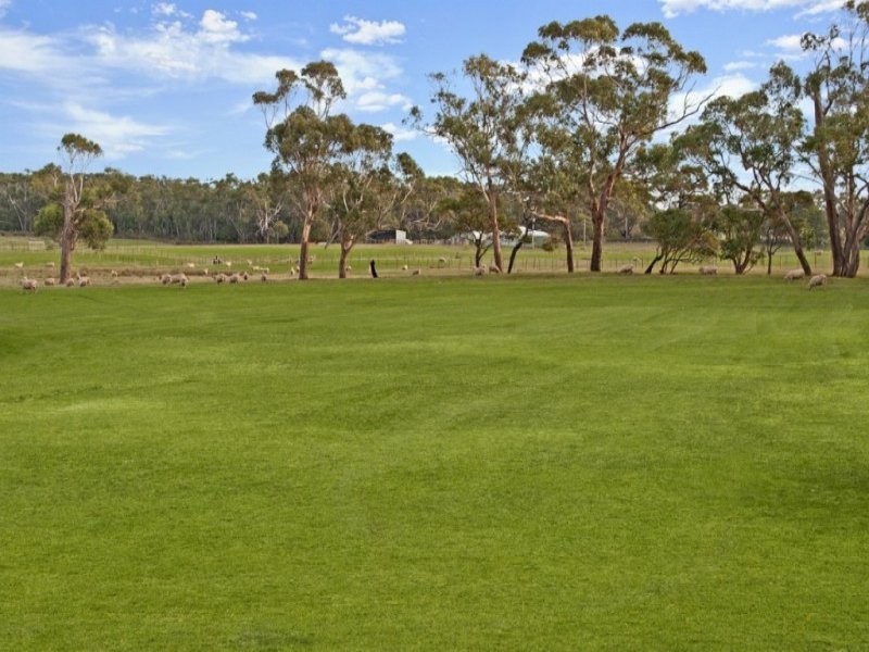 2 Hodgetts Road, Portland VIC 3305