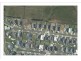 25 Madeira Close, Portland VIC 3305