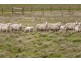 354 Princes Highway, Portland VIC 3305