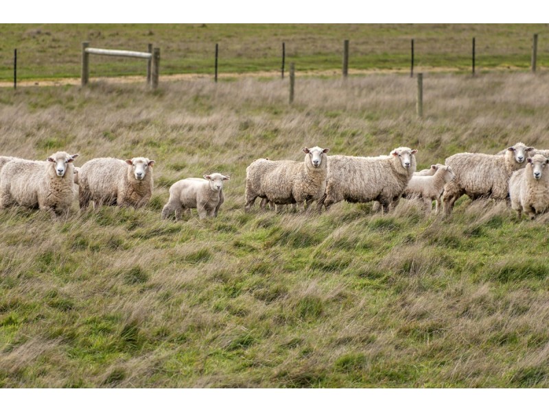 354 Princes Highway, Portland VIC 3305