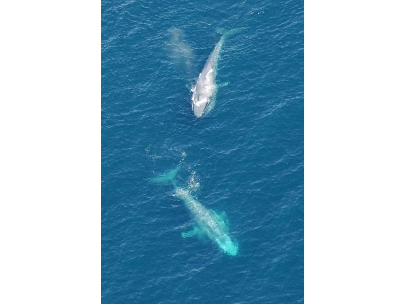 S4 POS 628601W, Portland VIC 3305