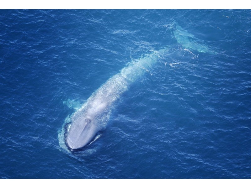 24 Richardson Street, Portland VIC 3305