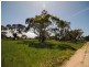 Lot 19 Murphys Road, Portland VIC 3305