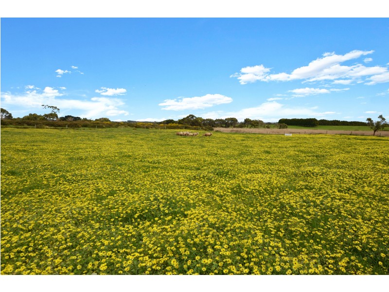 2/8248 Princes Highway, Portland VIC 3305