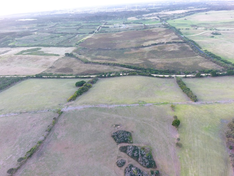 804 Cape Nelson Road, Portland West VIC 3305