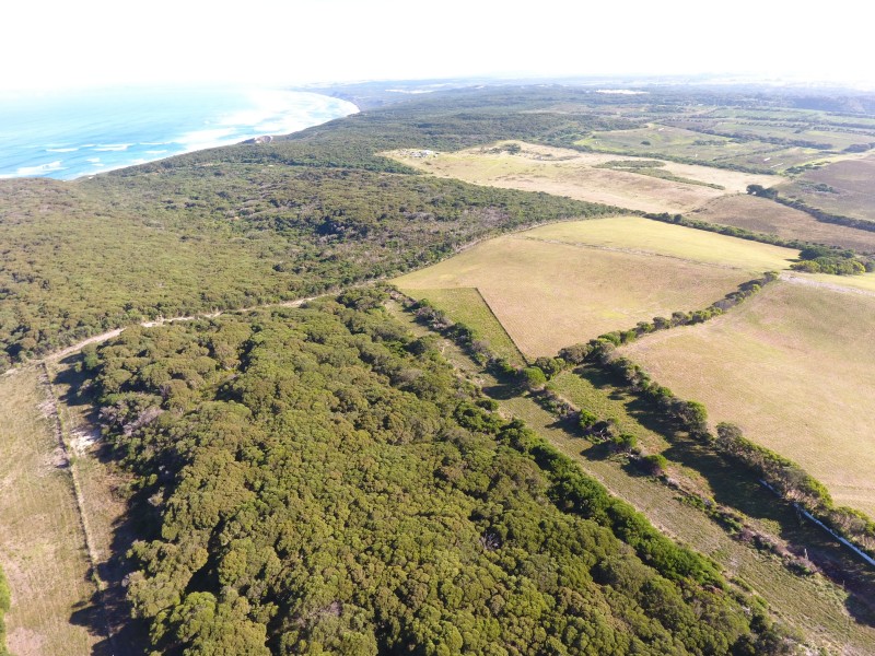 804 Cape Nelson Road, Portland West VIC 3305