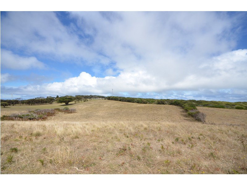 804 Cape Nelson Road, Portland West VIC 3305