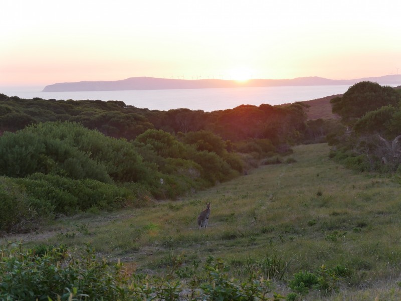 804 Cape Nelson Road, Portland West VIC 3305