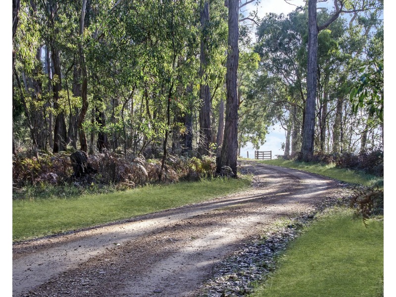 179 Gibbins J Road, Tyrendarra VIC 3285