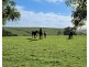179 Gibbins J Road, Tyrendarra VIC 3285