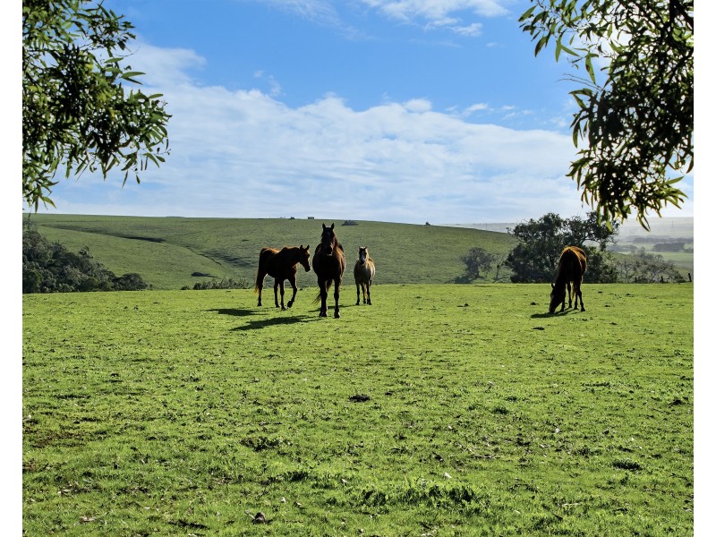 179 Gibbins J Road, Tyrendarra VIC 3285