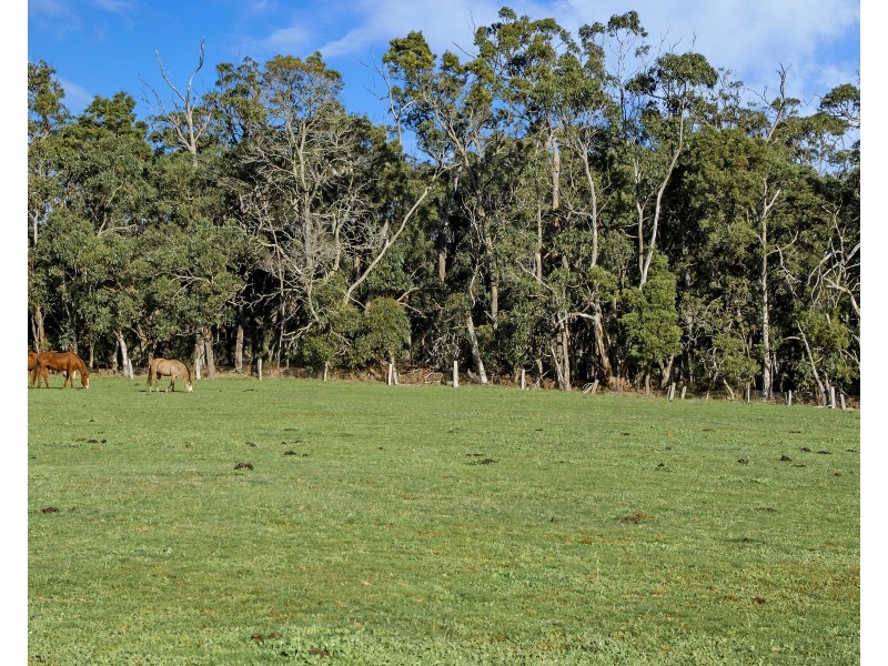 179 Gibbins J Road, Tyrendarra VIC 3285