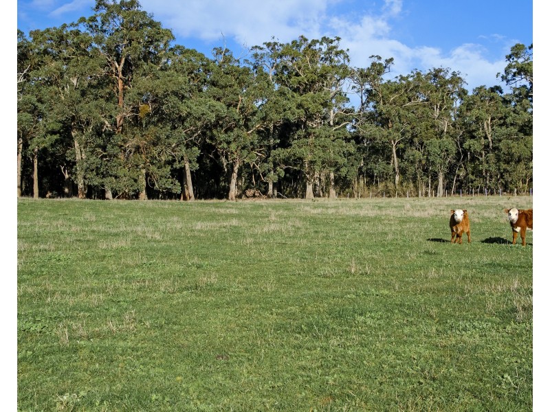 179 Gibbins J Road, Tyrendarra VIC 3285