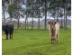 46 Westlakes Road, Portland VIC 3305