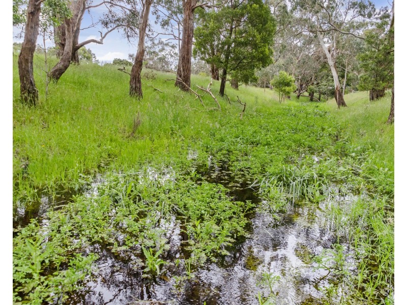 105 Dohles Road, Heywood VIC 3304