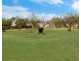 1 Blake Street, Heywood VIC 3304