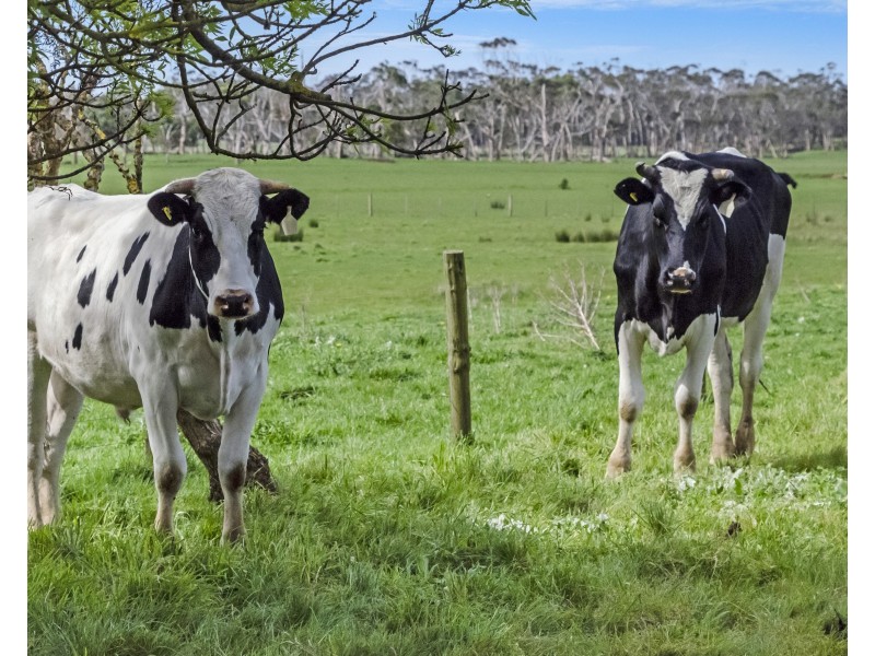 59 Kennys Lane, Portland VIC 3305