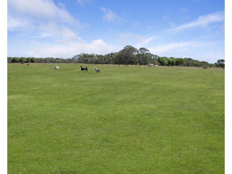 134 Crowes Road, Bolwarra VIC 3305