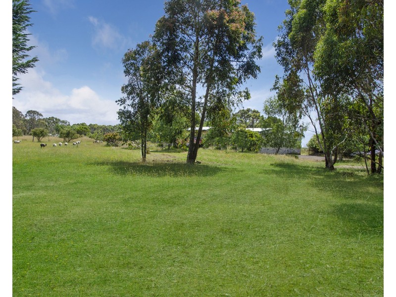 134 Crowes Road, Bolwarra VIC 3305