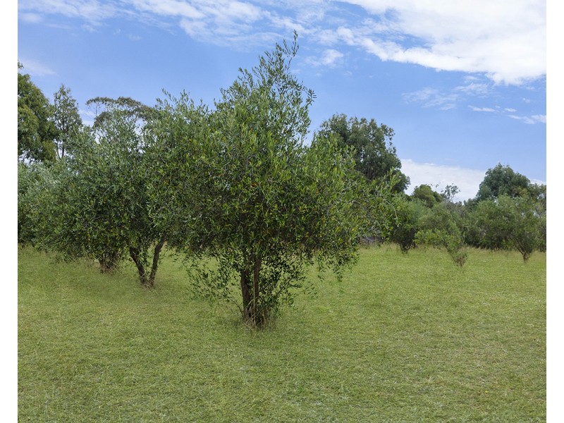 505 Portland Nelson Road, Portland VIC 3305