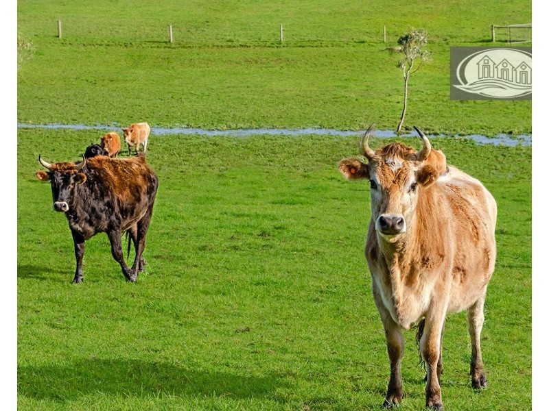 401 Henty Highway, Portland VIC 3305