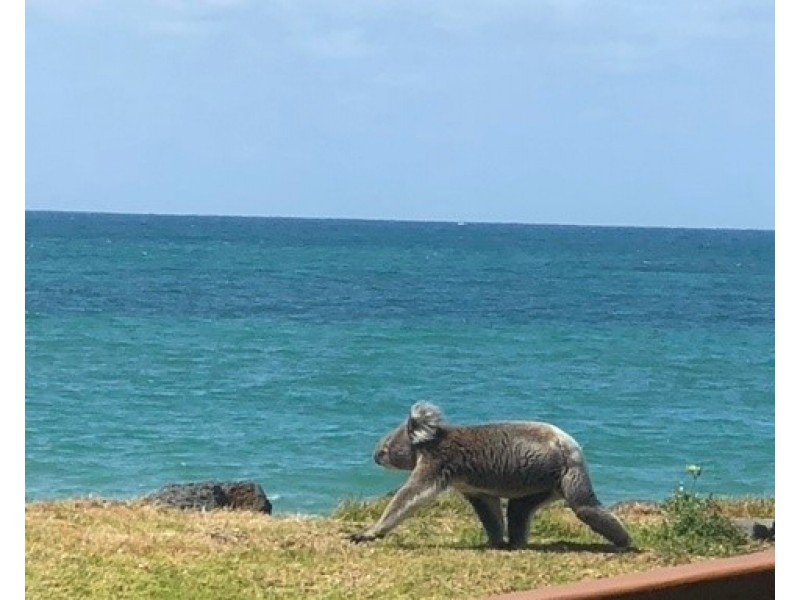 1 Keirana Avenue, Dutton Way VIC 3305