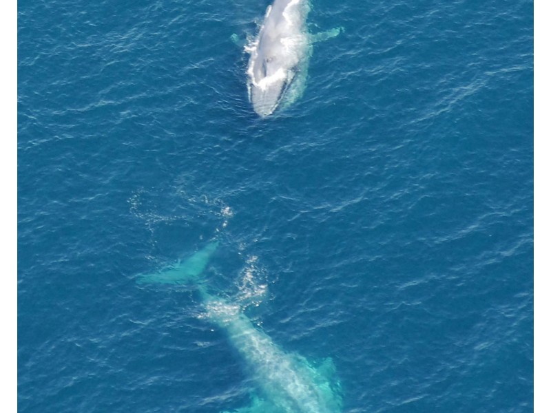 24 Richardson Street, Portland VIC 3305