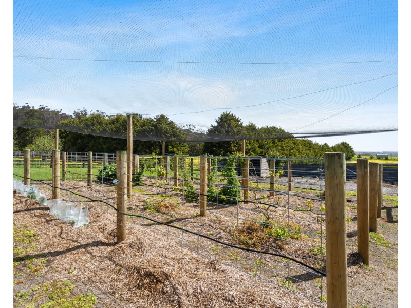 231 Golf Course Road, Heywood VIC 3304