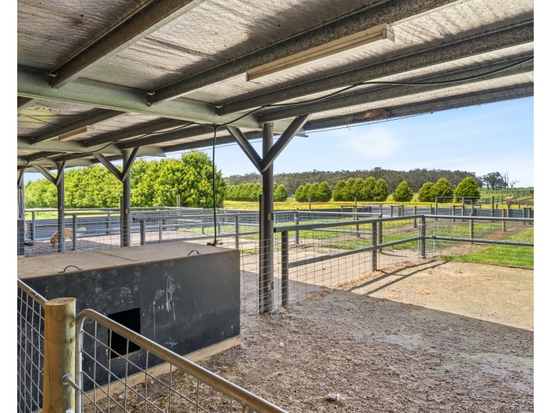 231 Golf Course Road, Heywood VIC 3304