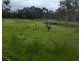 Gorae West VIC 3305