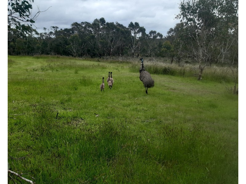 Gorae West VIC 3305