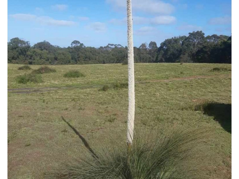 Gorae West VIC 3305