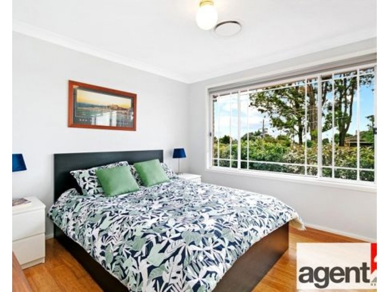 78 Shepherd Street, Colyton NSW 2760