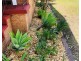 5 Eucalyptus Drive, Cranebrook NSW 2749