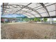 10 Mt Koolmoon Street, Smithfield QLD 4878