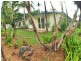 /20 Conlan Close, Manoora QLD 4870