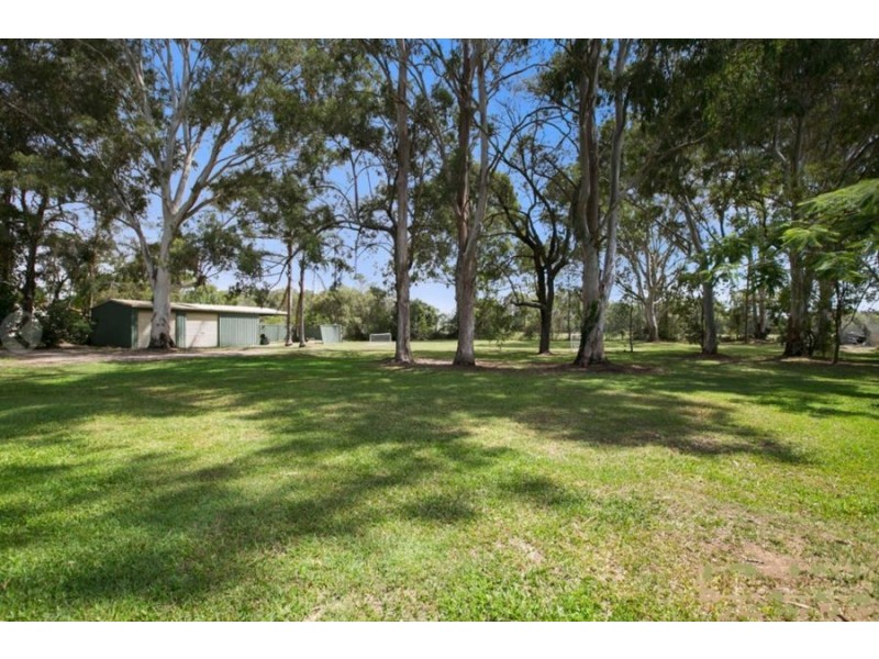 1C Rachow Street, Thornlands QLD 4164