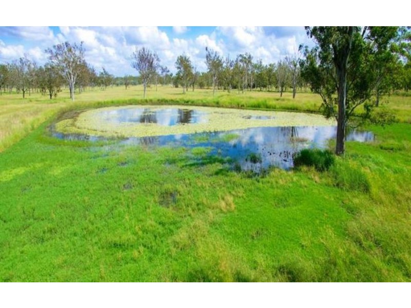 115 Stevens Road, Purga QLD 4306