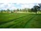 115 Stevens Road, Purga QLD 4306