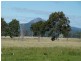 92 Stevens Road, Purga QLD 4306