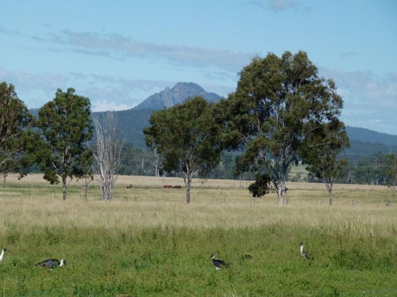 92 Stevens Road, Purga QLD 4306