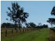 92 Stevens Road, Purga QLD 4306