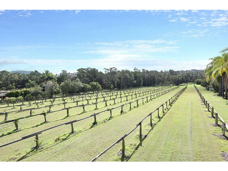 109 Fraser Road, Beerwah QLD 4519