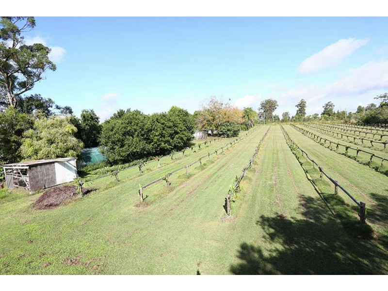 109 Fraser Road, Beerwah QLD 4519