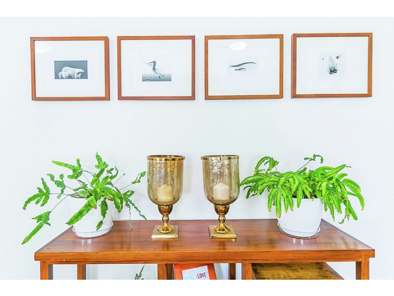 82 Sunnydale  St, Upper Mount Gravatt QLD 4122