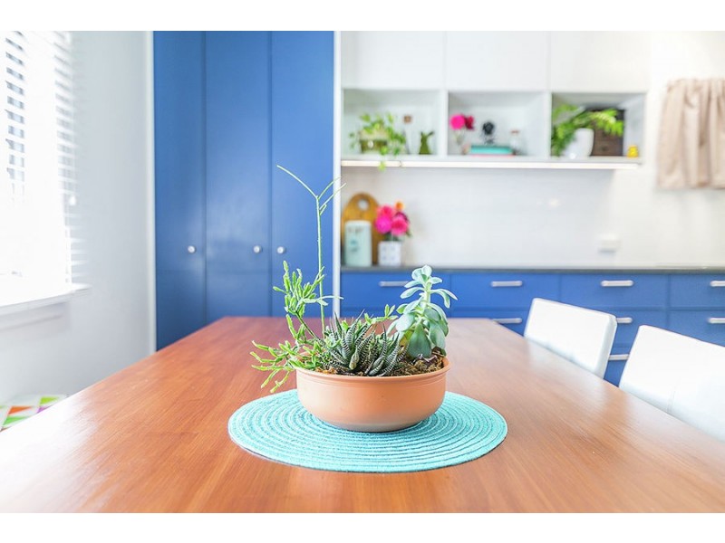 82 Sunnydale  St, Upper Mount Gravatt QLD 4122