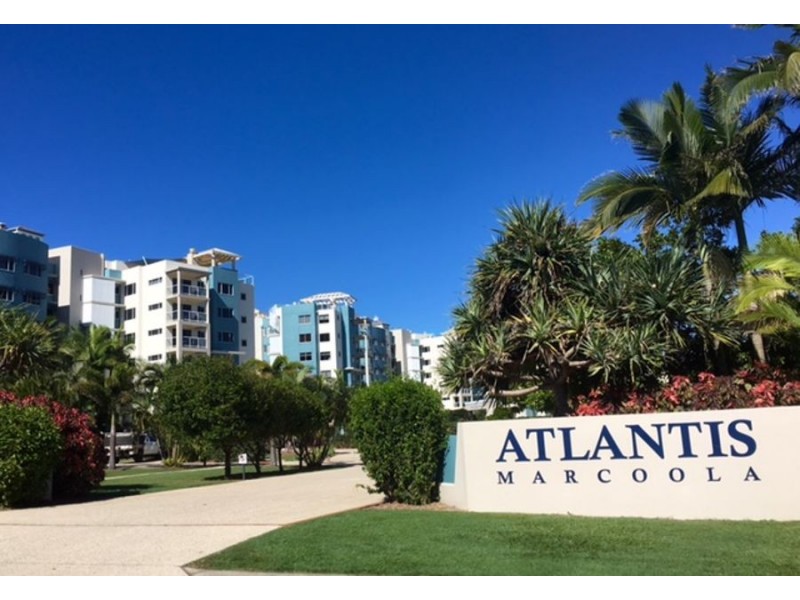 903 David Low Way, Marcoola QLD 4564