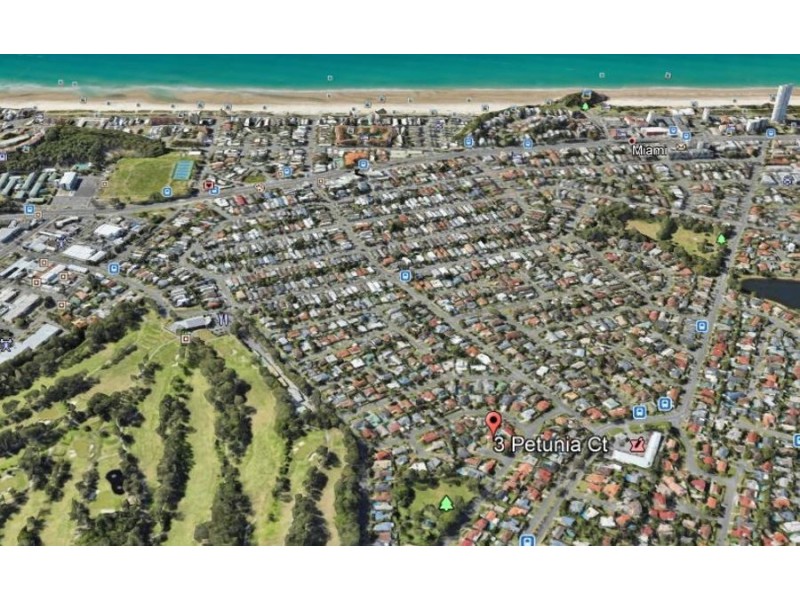 3 Petunia Court, Miami QLD 4220
