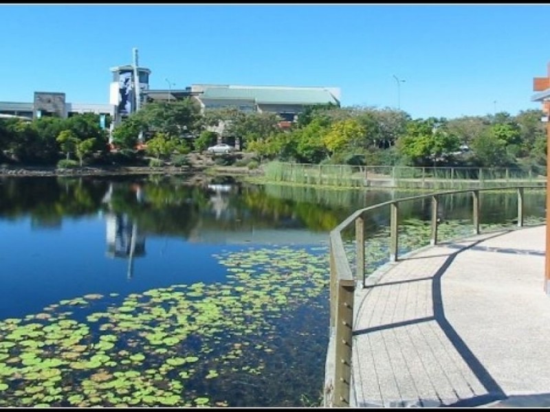 2 Arbour Avenue, Robina QLD 4226
