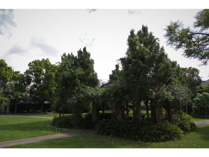 13/1 Arbour Avenue, Robina QLD 4226